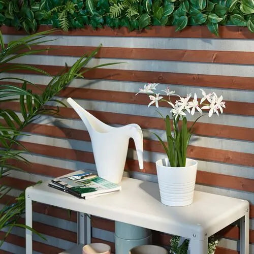 زرع اوركيد اصفر