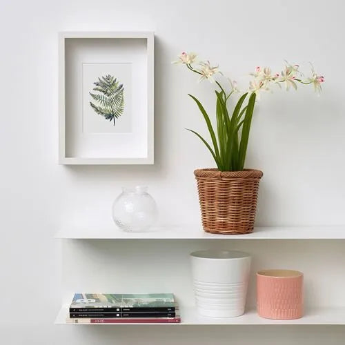 زرع اوركيد اصفر