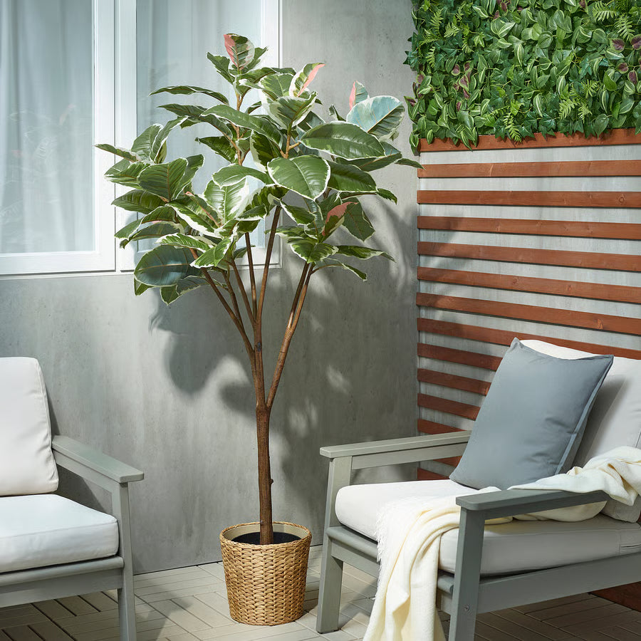 زرع ارضي كبير