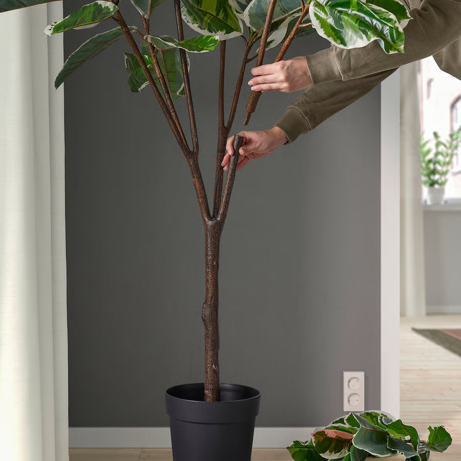 زرع ارضي كبير