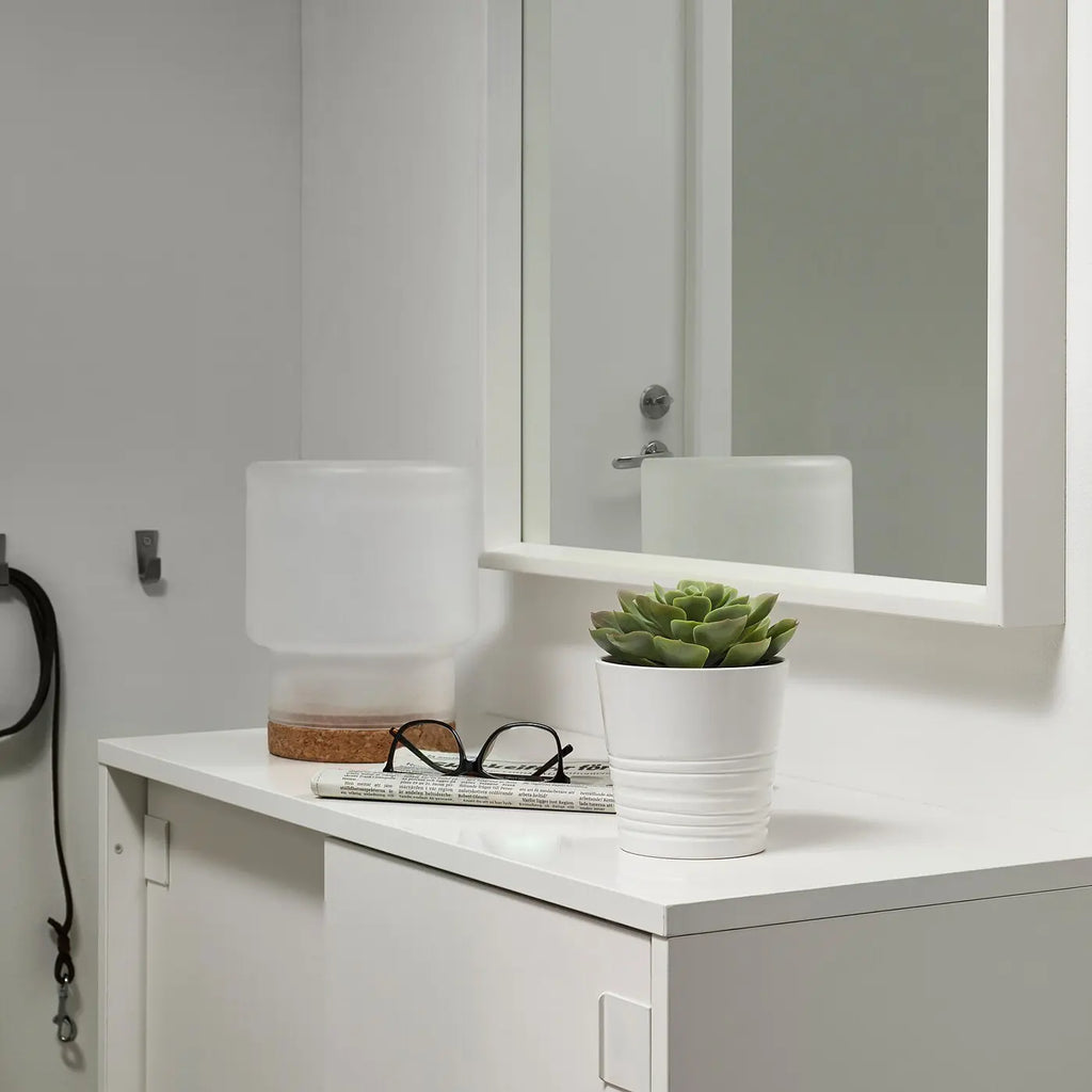 زرع صبار صغير