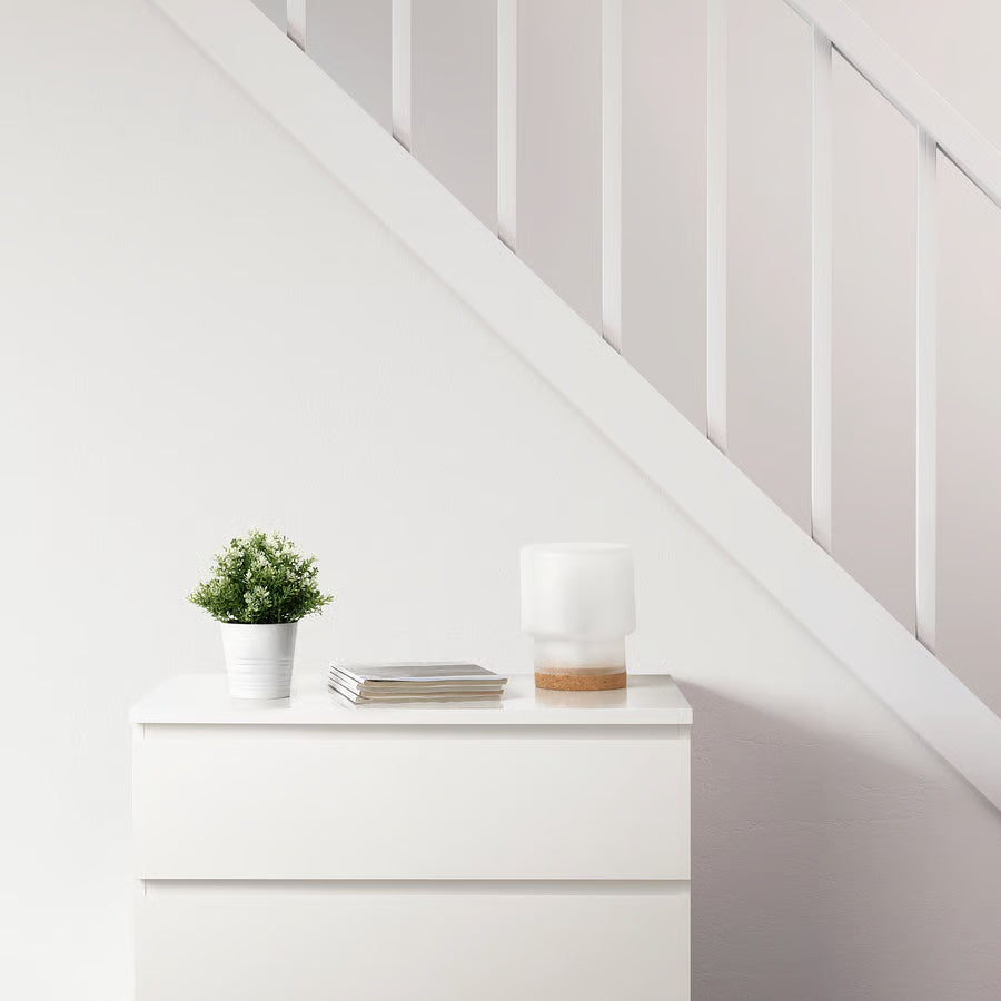 زرع راس ابيض